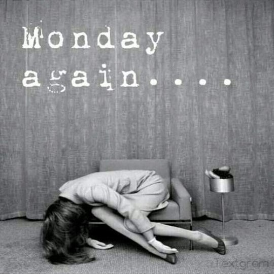It's that day again #monday #wannasleep #tired #weekendgone #newweek #letsdothis #weekendtoshort #mondaymotivation  #isittheweekendyet #chilly #soulroll #lovebus #lovebusnashville #nashville #december