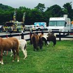 This truck has taken us all over but this is our first #rodeo #asfatewouldhaveit  #foodtrucksnash